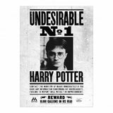 Harry Potter Indésirable n°1 Toile encadrée (50 cm x 40 mm)
