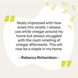 Miniml White Vinegar - Sorrento Lemon   750ml