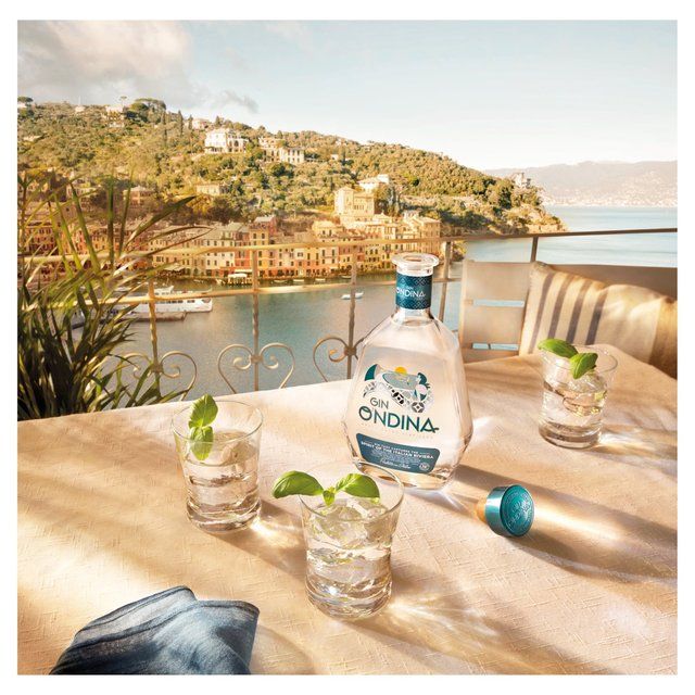 O'ndina Gin - Small Batch Super Premium Italian Gin   70cl