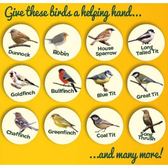 Peckish Complete Suet Cake Block For Wild Birds   300g