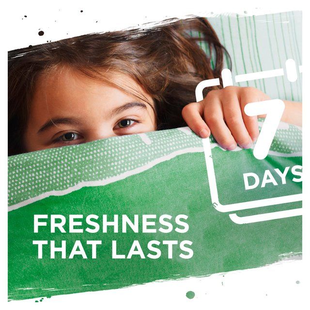 Persil Laundry Washing Liquid Detergent Bio 24 Wash    648ml