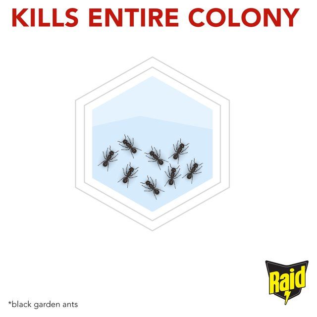 Raid Ant Bait Station